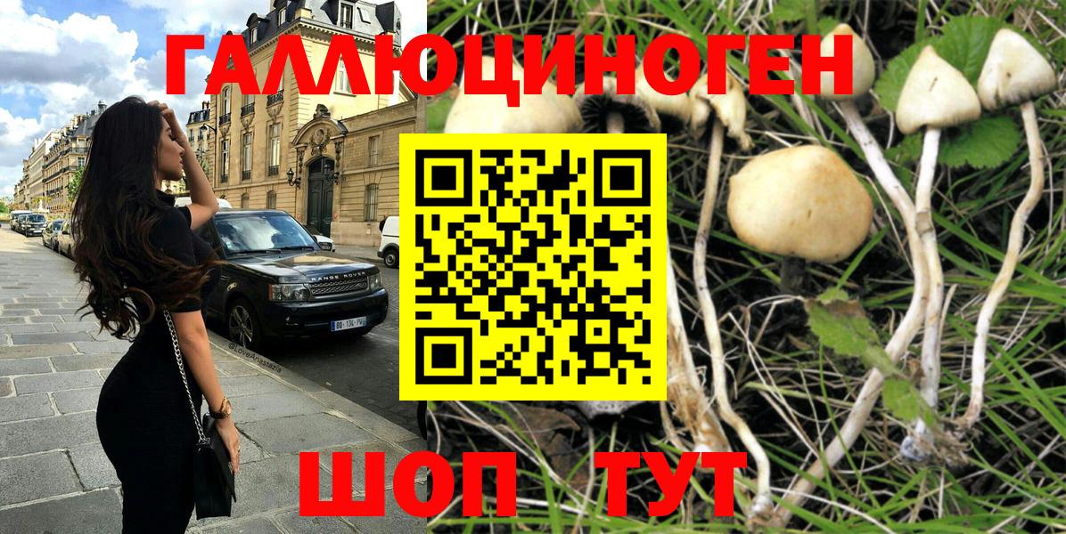 Галлюциногенные грибы прущие грибы Бутурлиновка