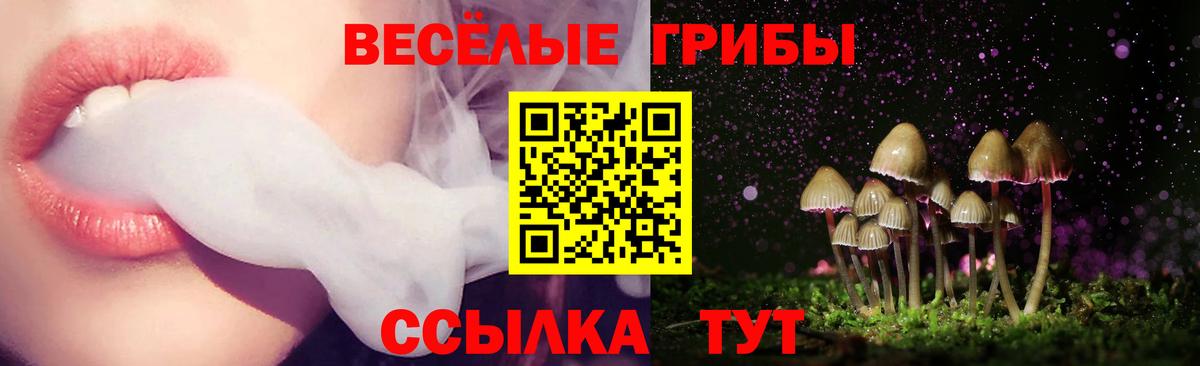 Бутурлиновка  Псилоцибиновые грибы MAGIC MUSHROOMS  Вход с VPN 